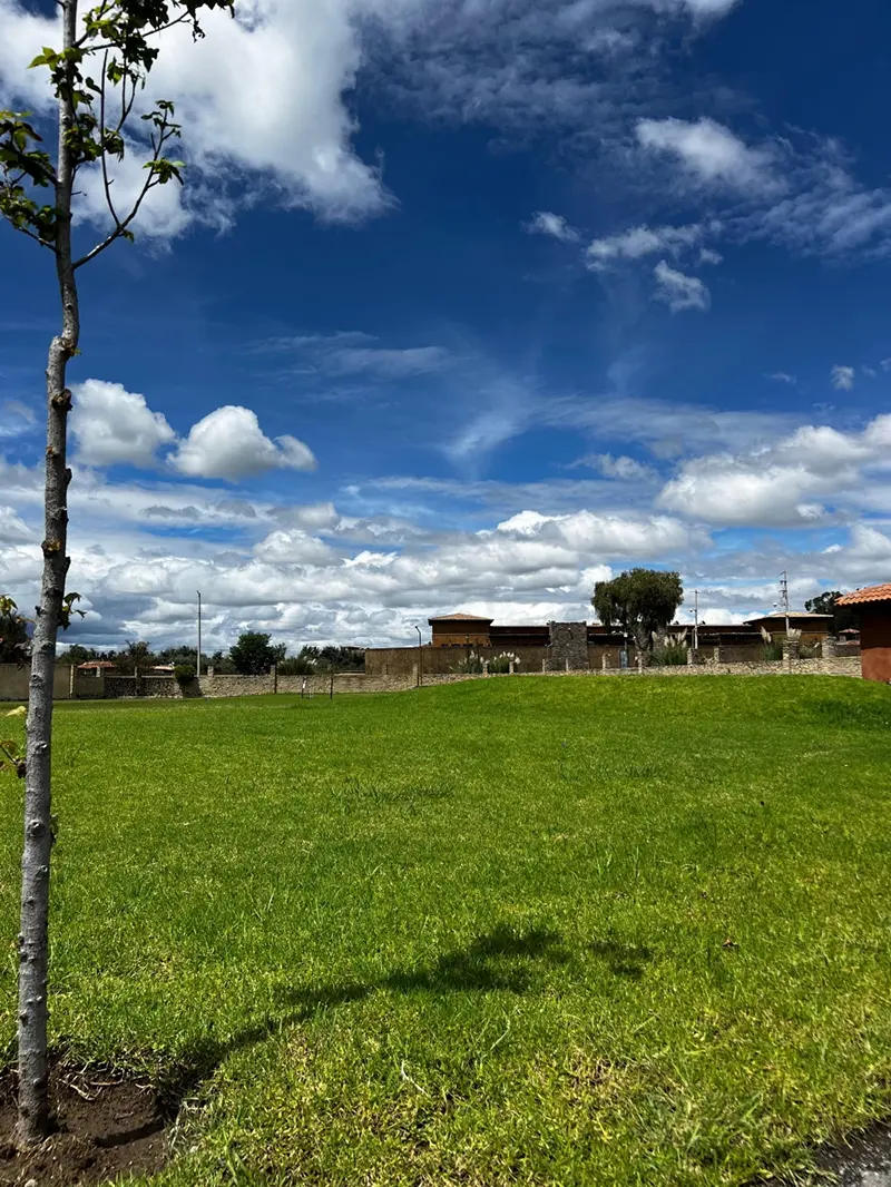 laurel residencial 