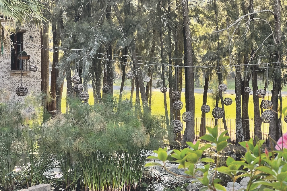 BOSQUE RESIDENCIAL 