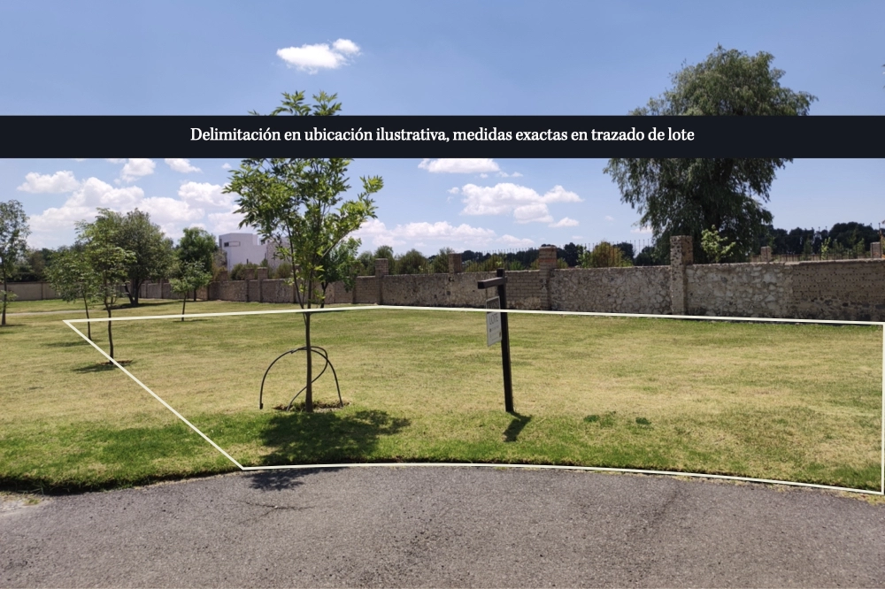 lote