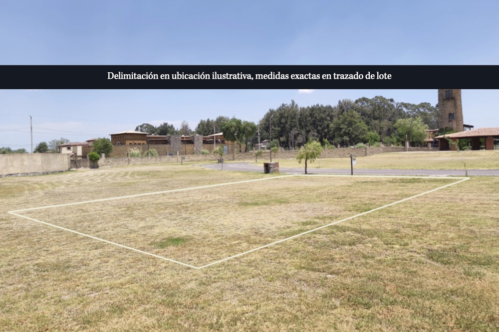lote