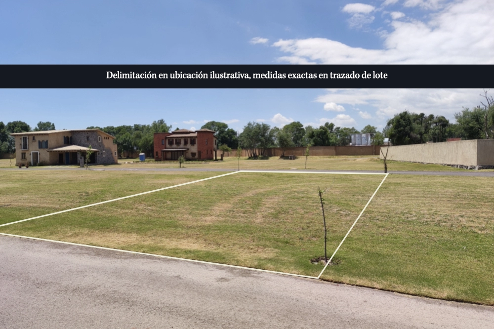 lote