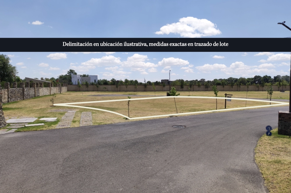 lote
