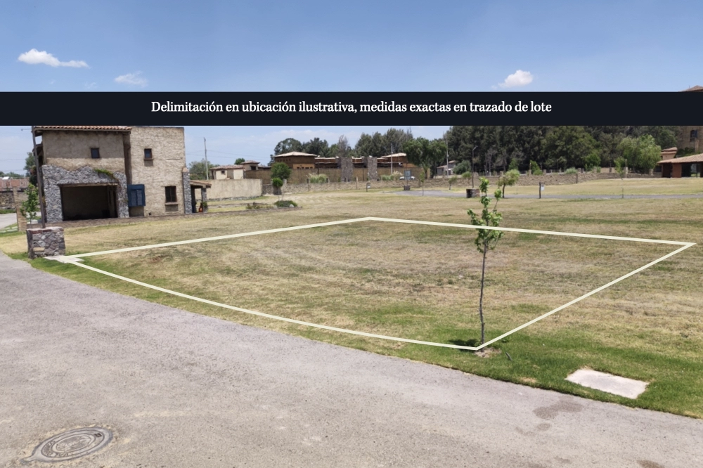 Lote