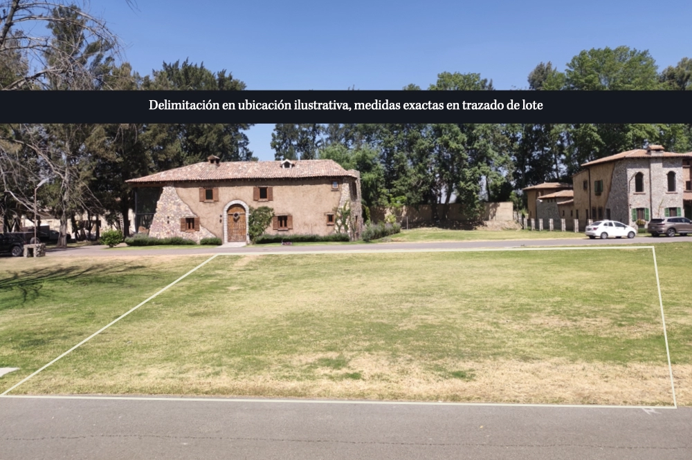 lote