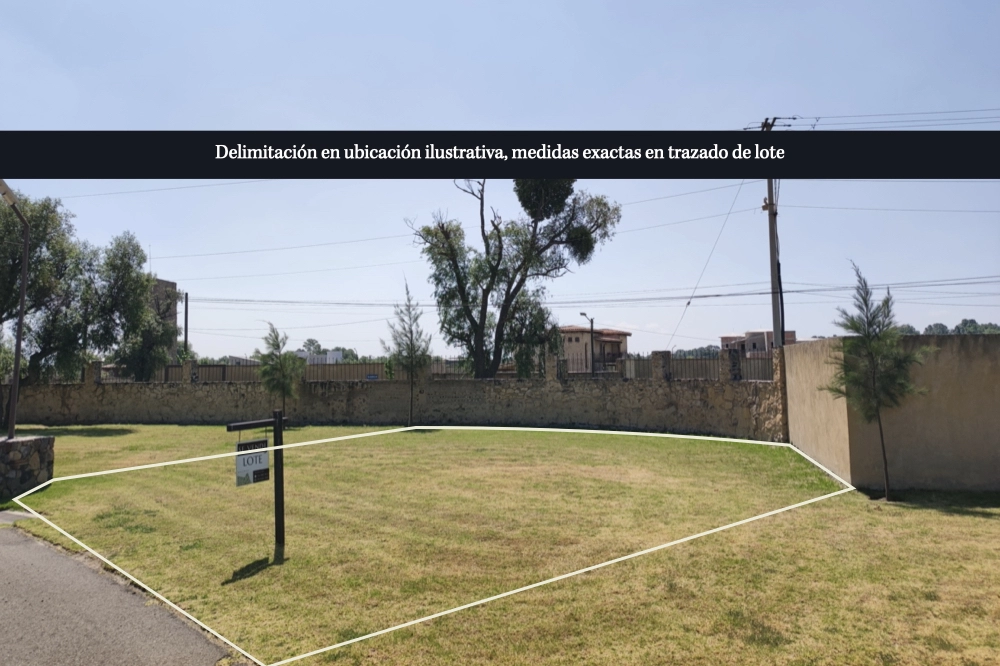 lote