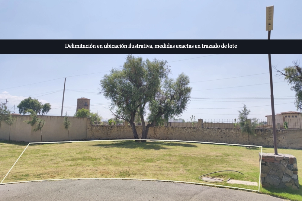 lote
