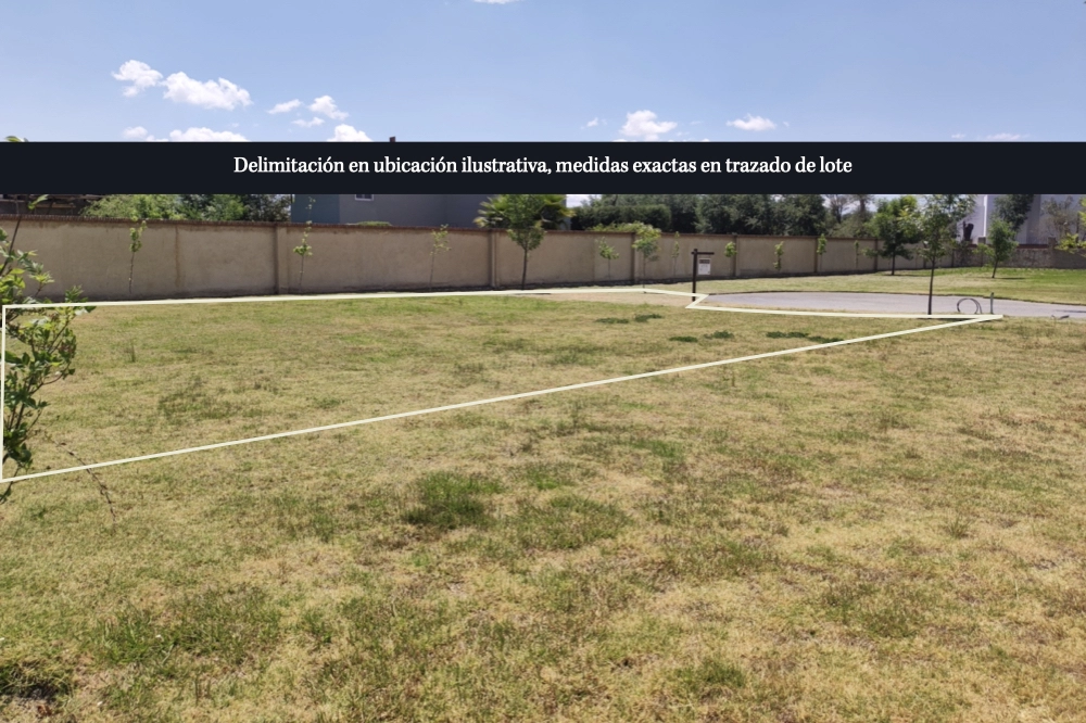 lote