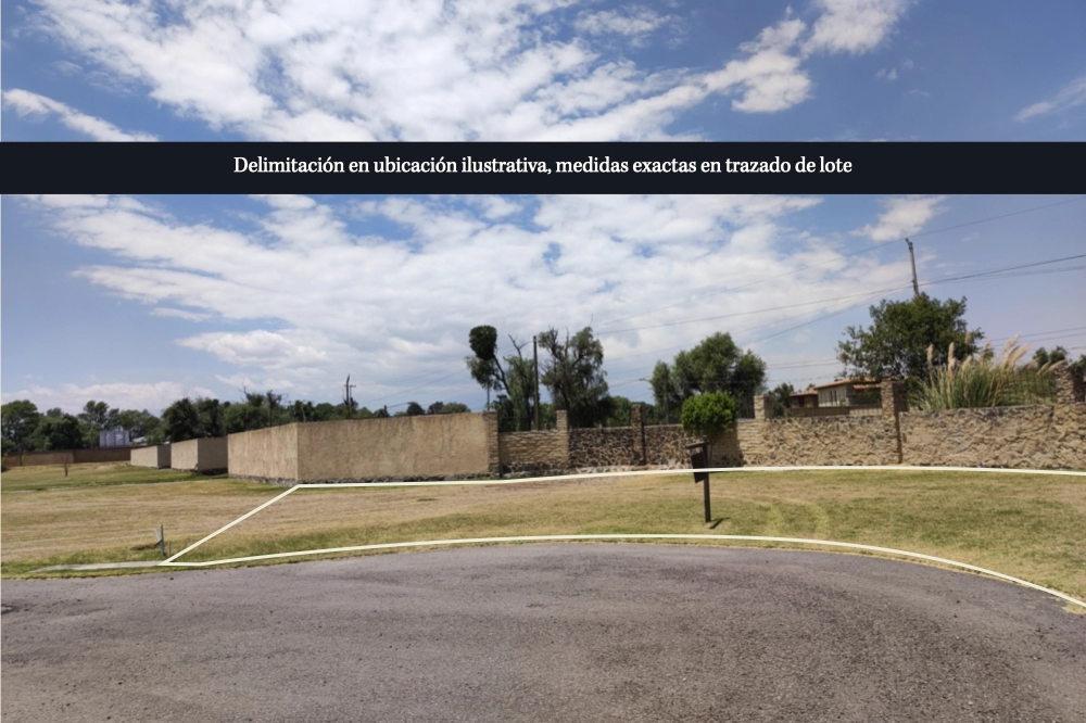 lote