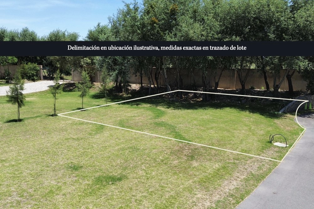 lote