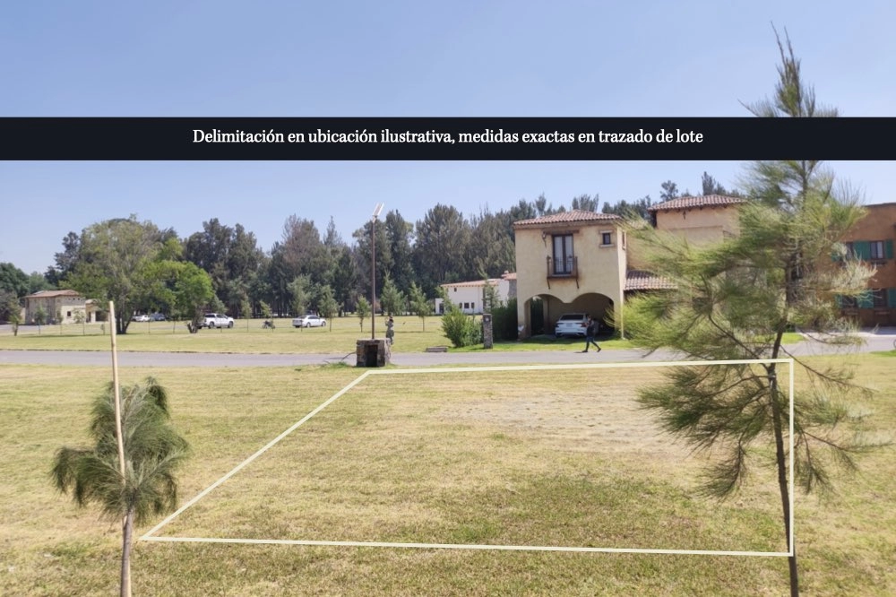 lote