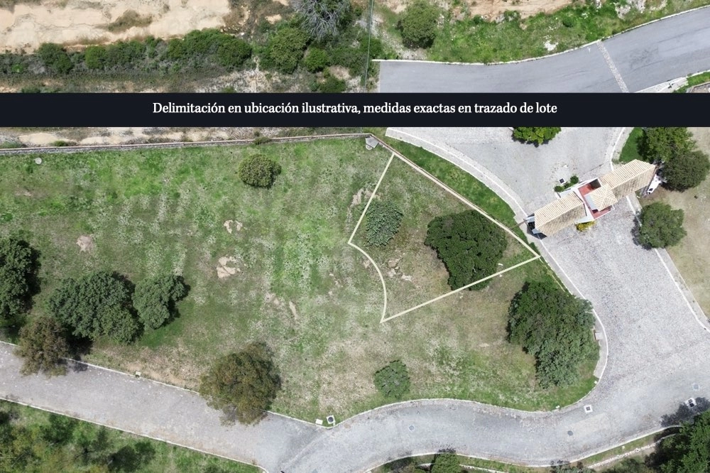 Lote
