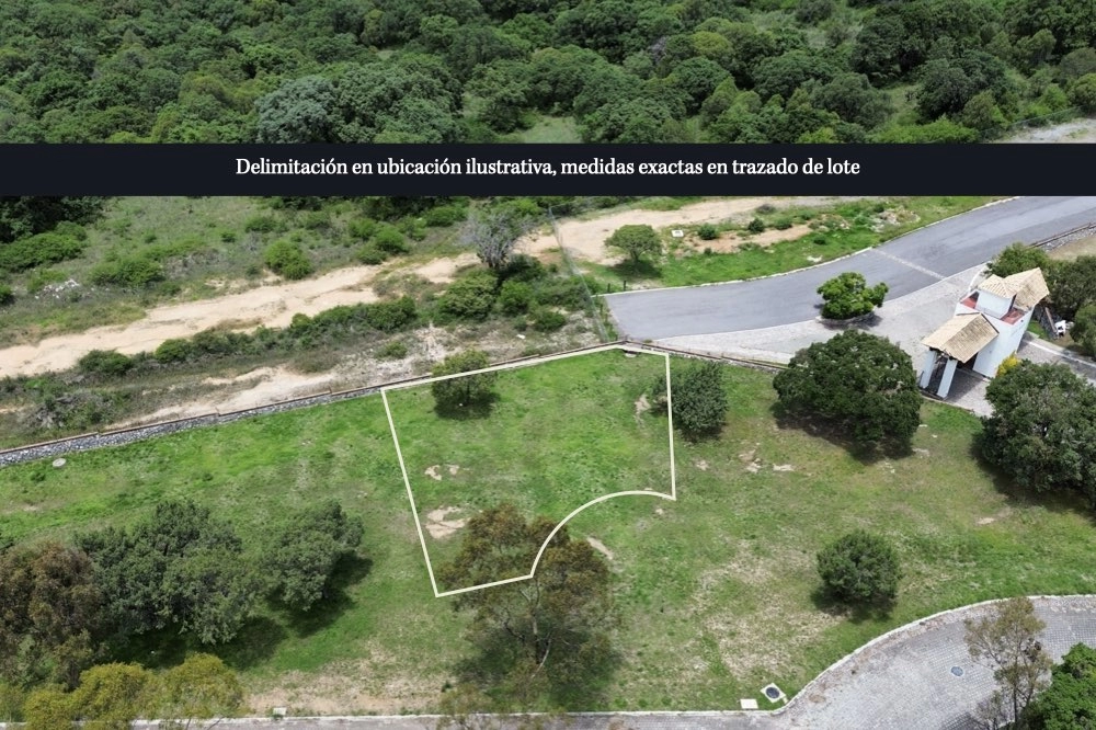 Lote