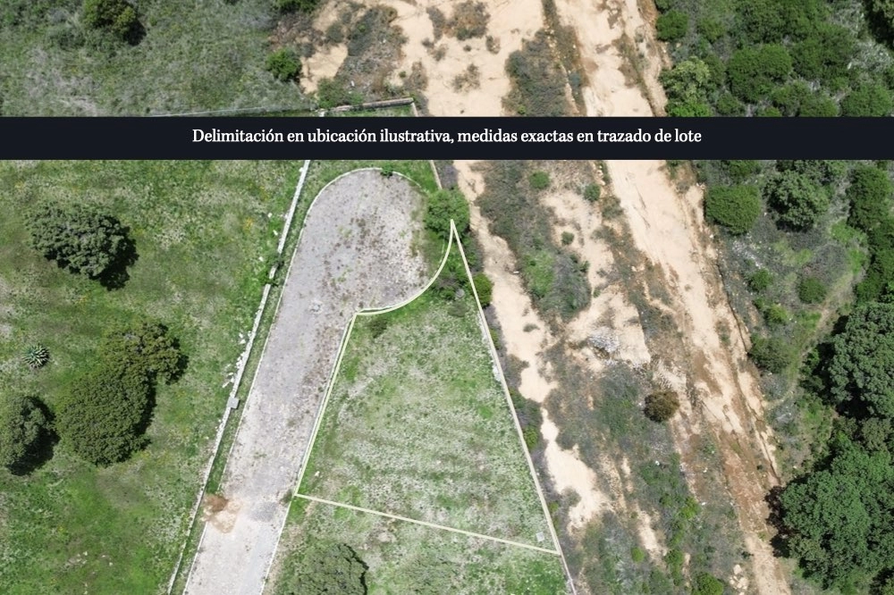 Lote 