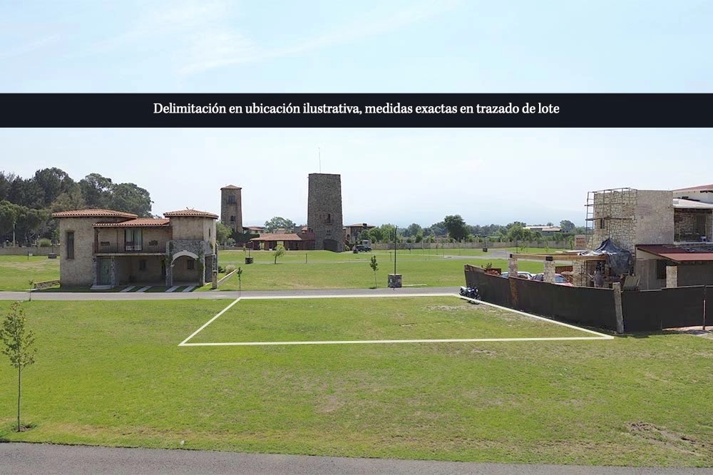 lote