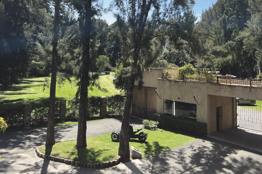 barrio bosque