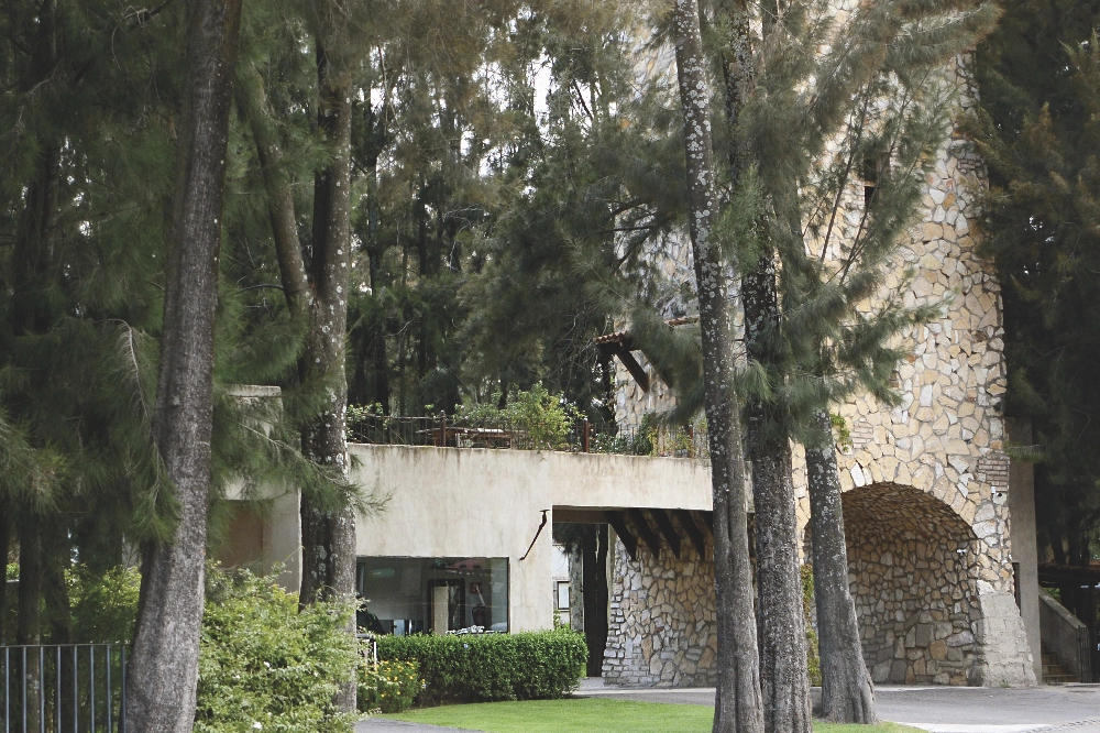 BARRIO BOSQUE