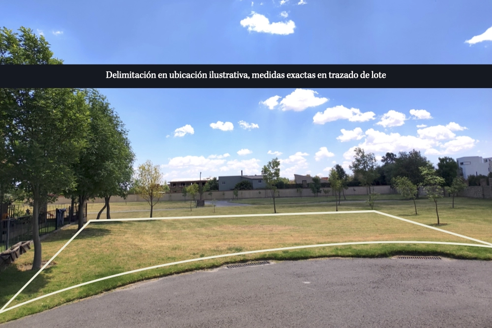 lote